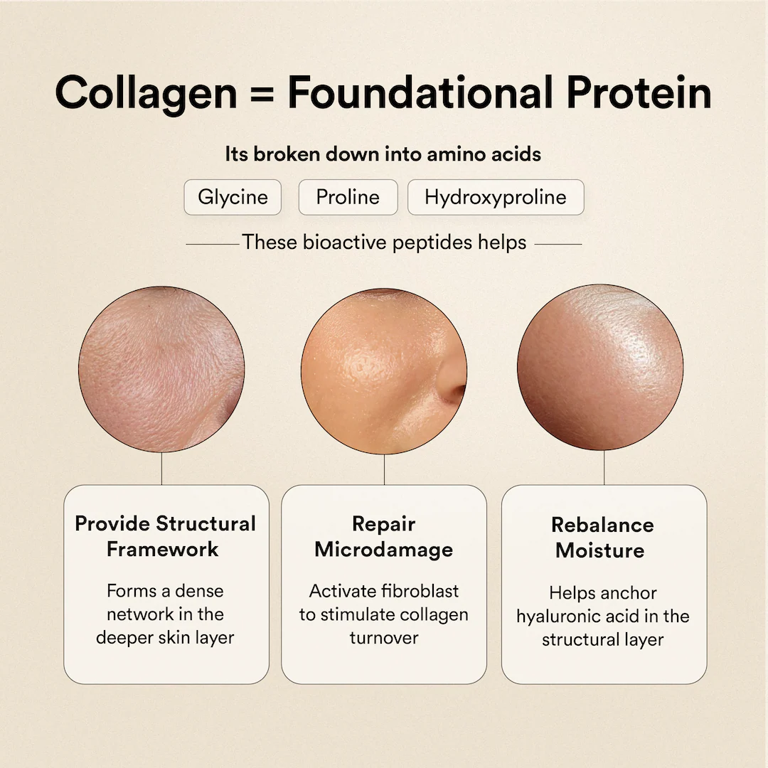 Beauty Korean Marine Collagen Peptides Mango Peach Flavour - Image 8