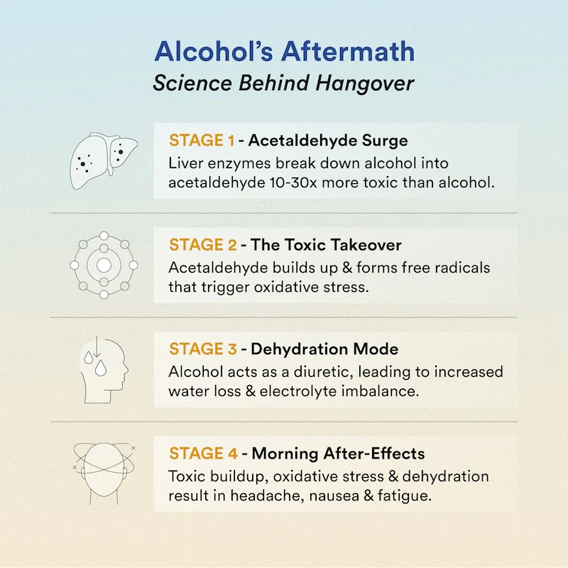 Hangover Relief - Image 2