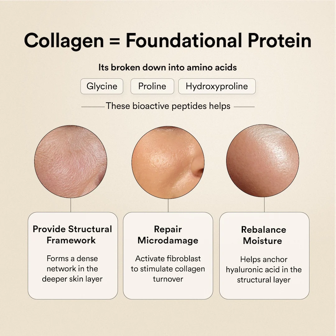 Pure Korean Marine Collagen Peptides | Unflavored | Combat Signs of Ageing - Image 7