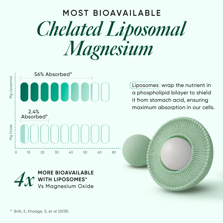 Ultra Strength Magnesium+ - Image 3