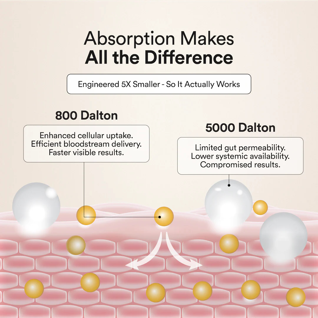 Marine Collagen - Valencia Orange - Image 6