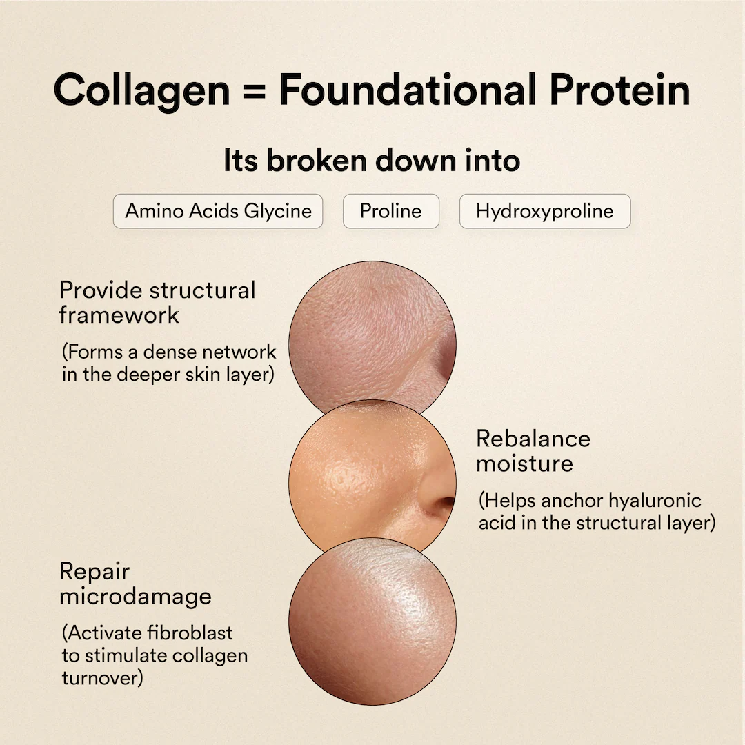 Marine Collagen - Valencia Orange - Image 8