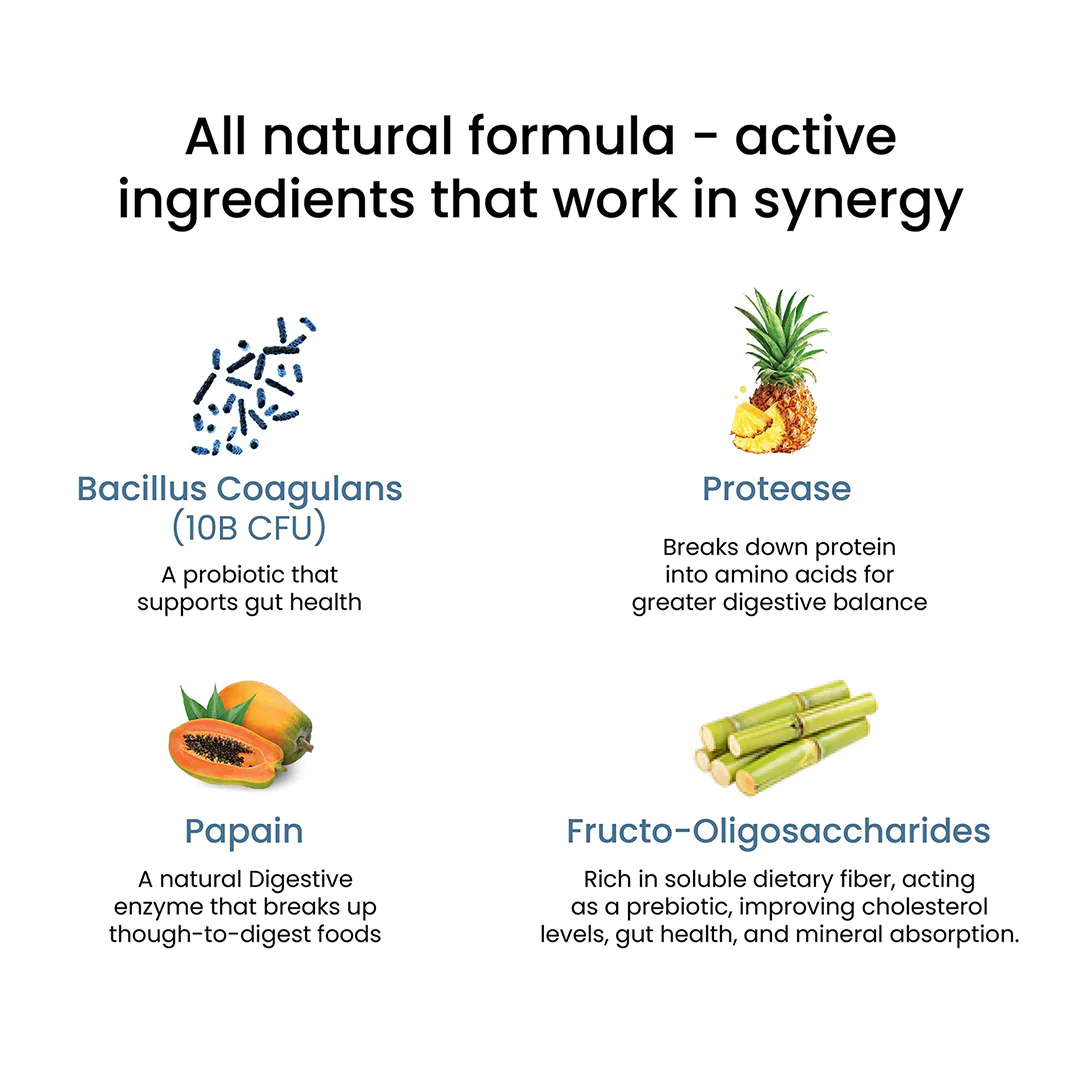Healthy Gut - Image 4