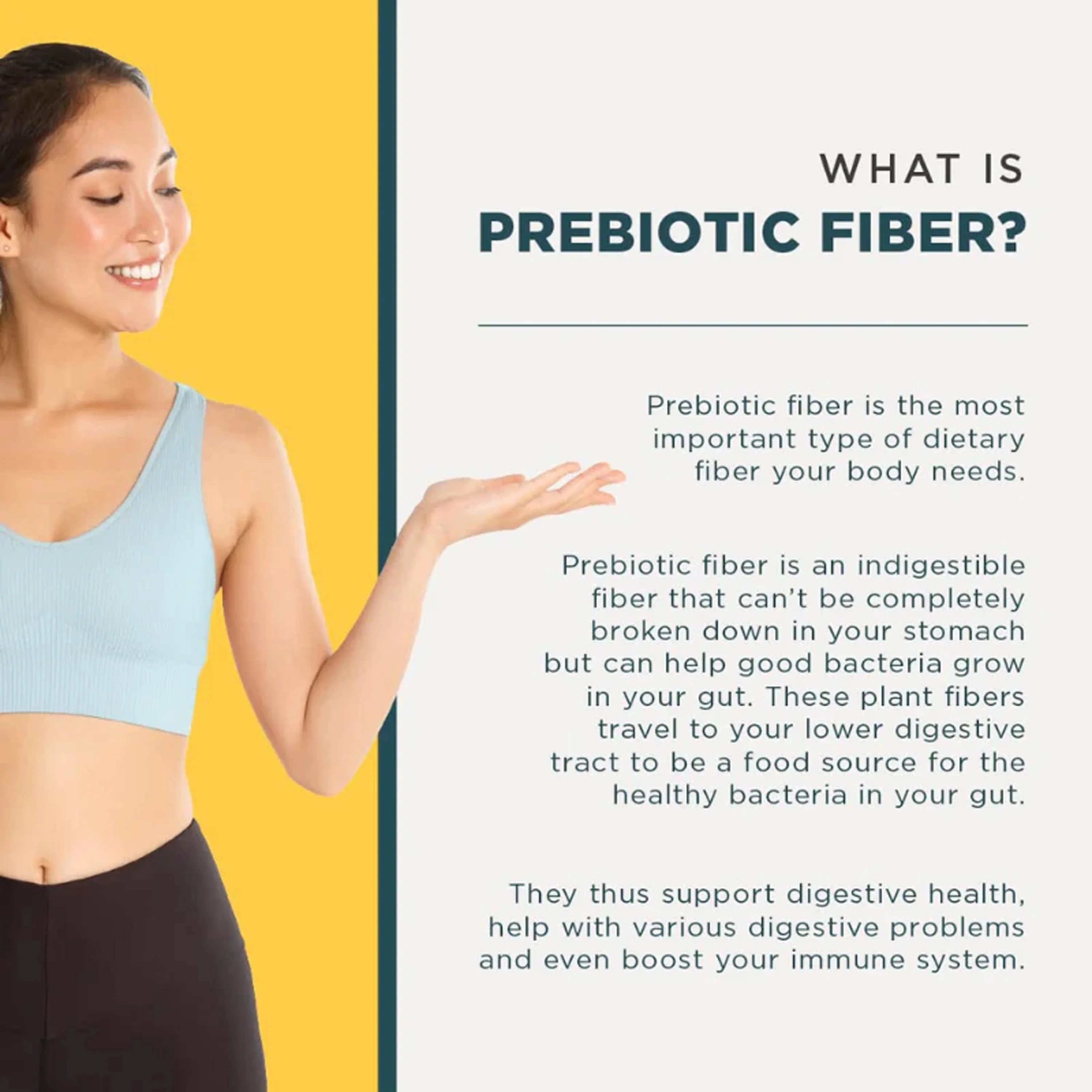 Daily Fiber | Pina Colada Flavour - Image 5