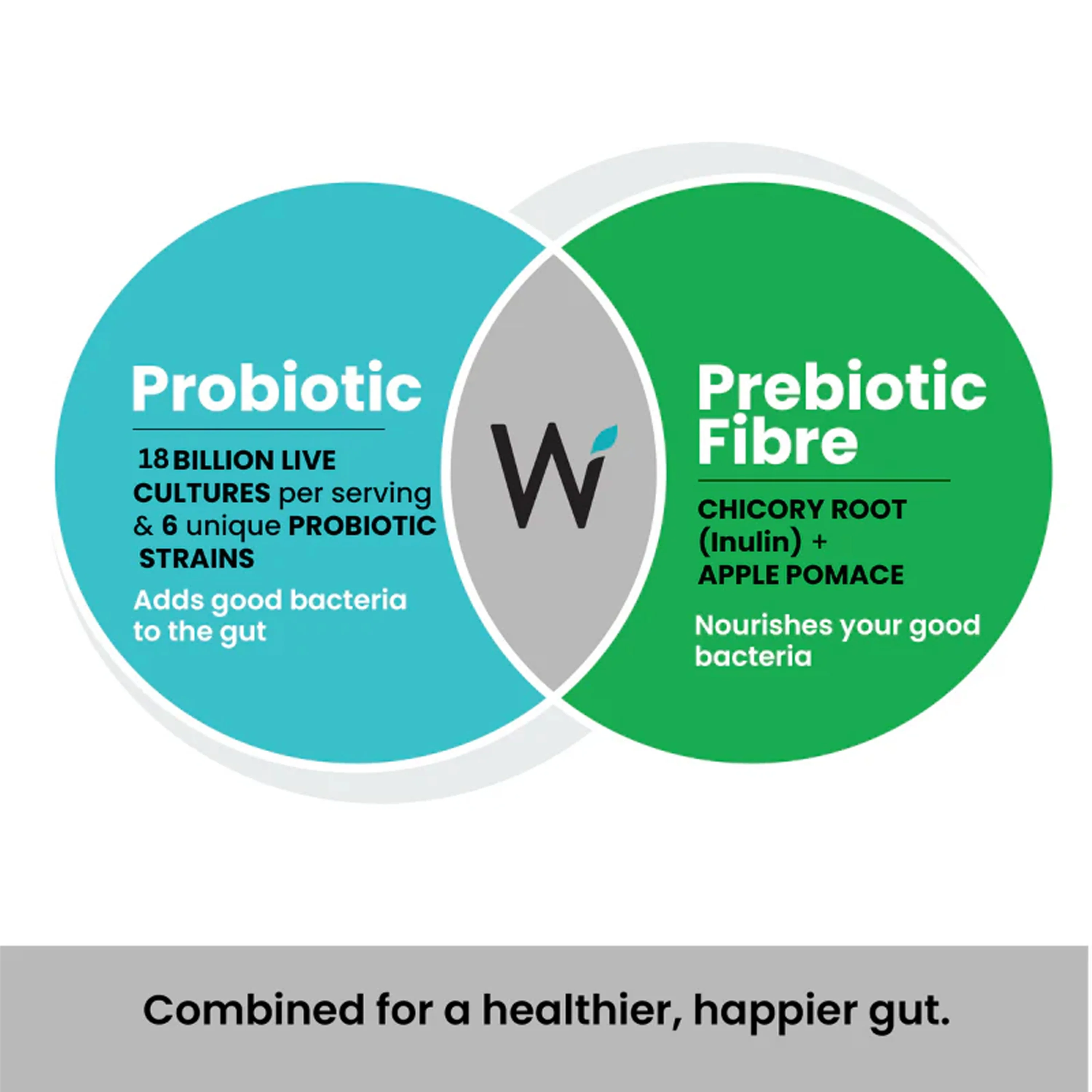 Probiotic + Prebiotic - Image 3