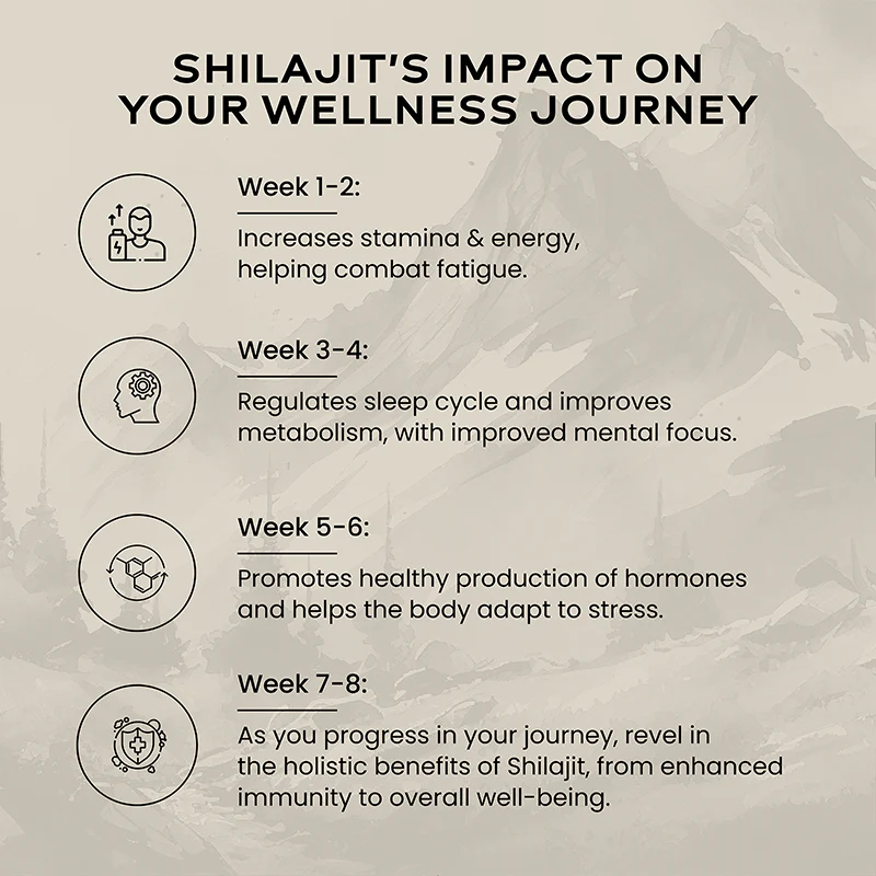 Shilajit Gold - Image 6