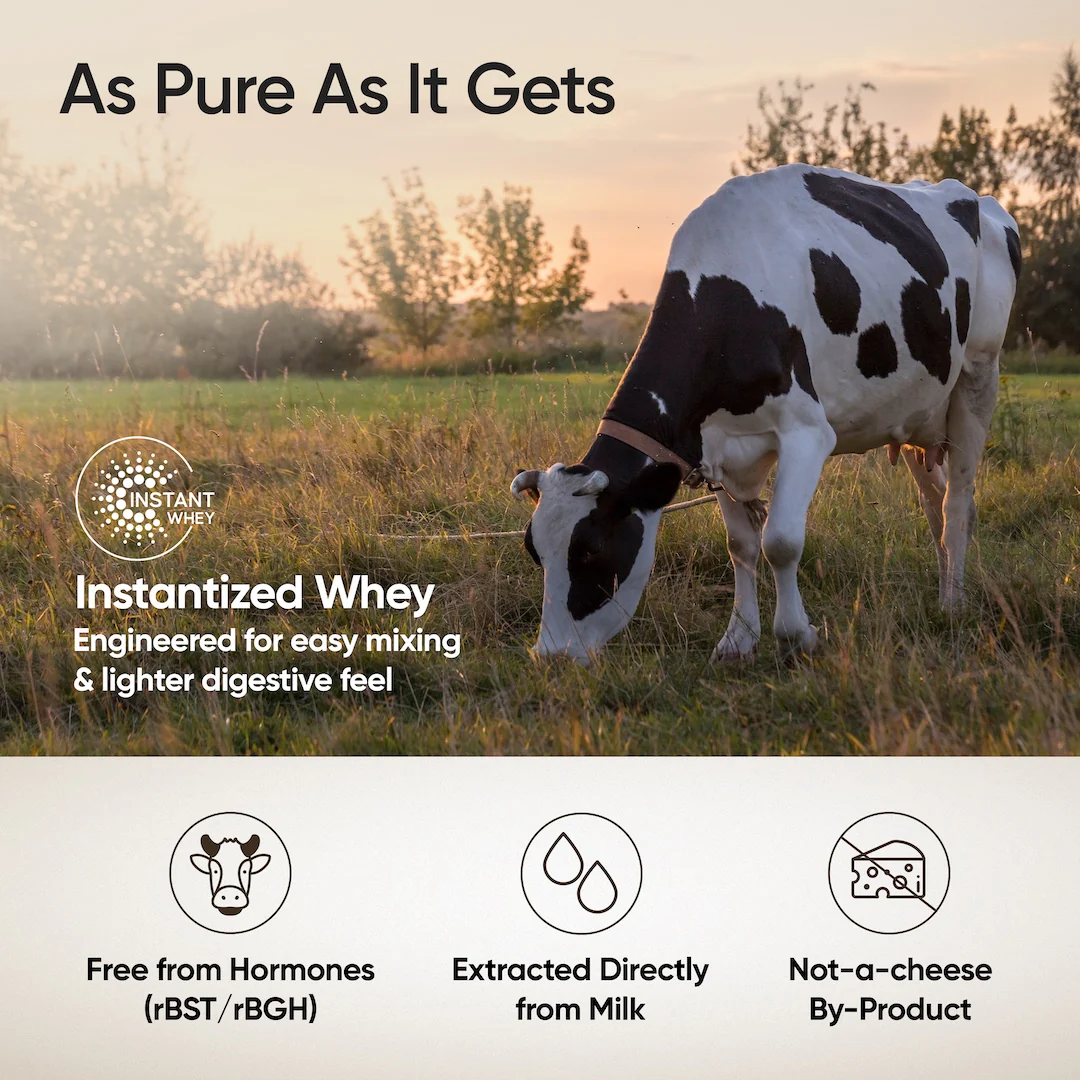 Whey Protein Isolate 31g | 1kg | 4B CFU Probiotics | Unflavoured - Image 5