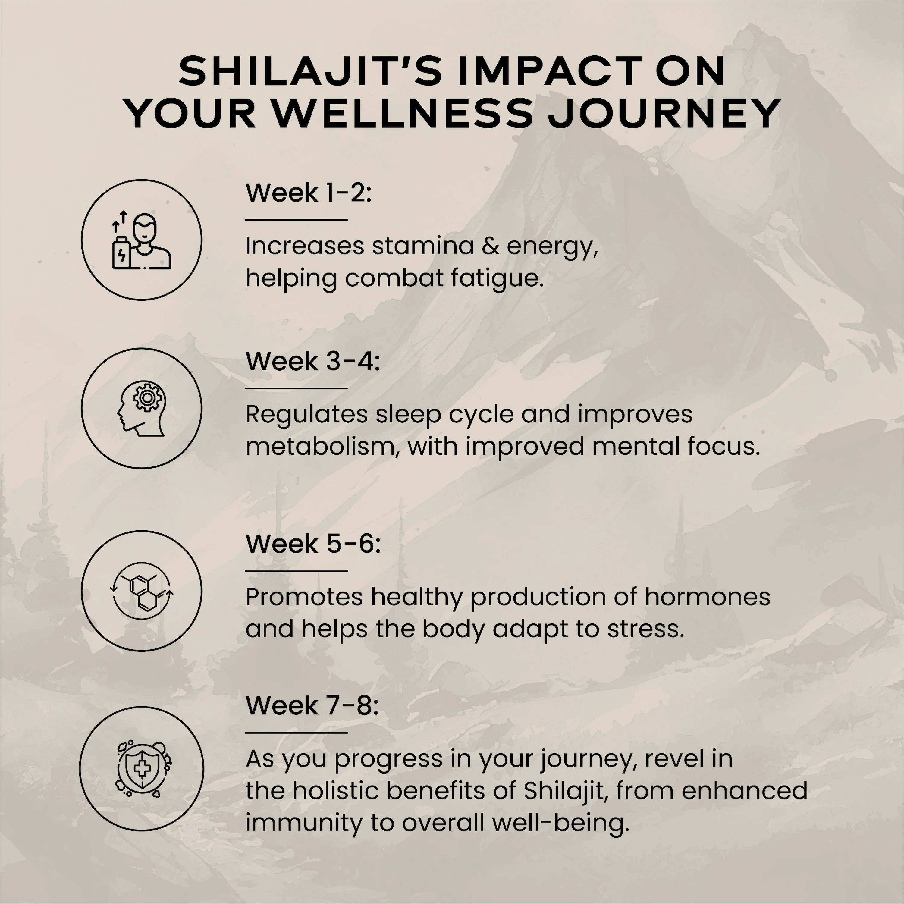 Shilajit Gold 10gm - Image 6
