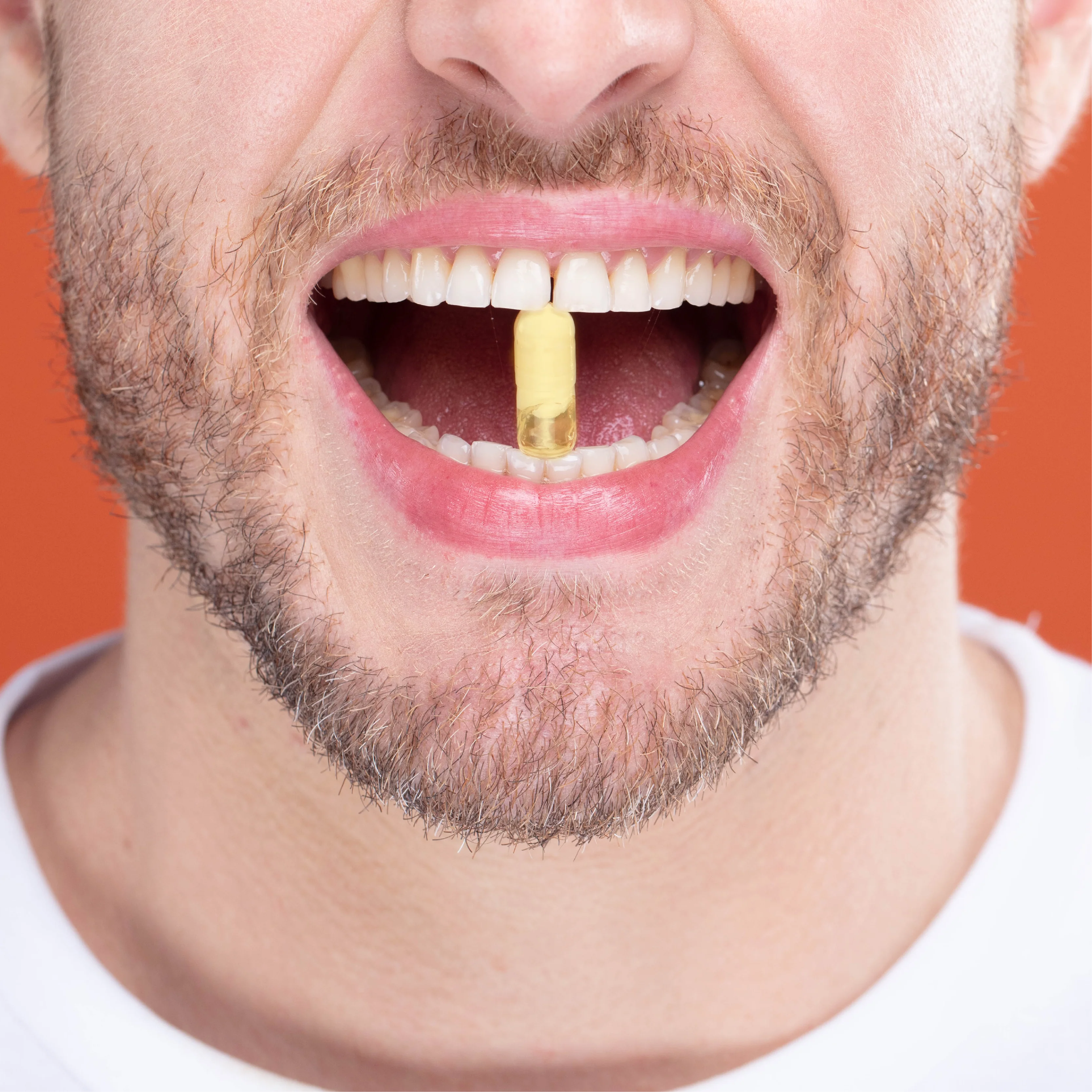 Daily Probiotic Slow - Image 7