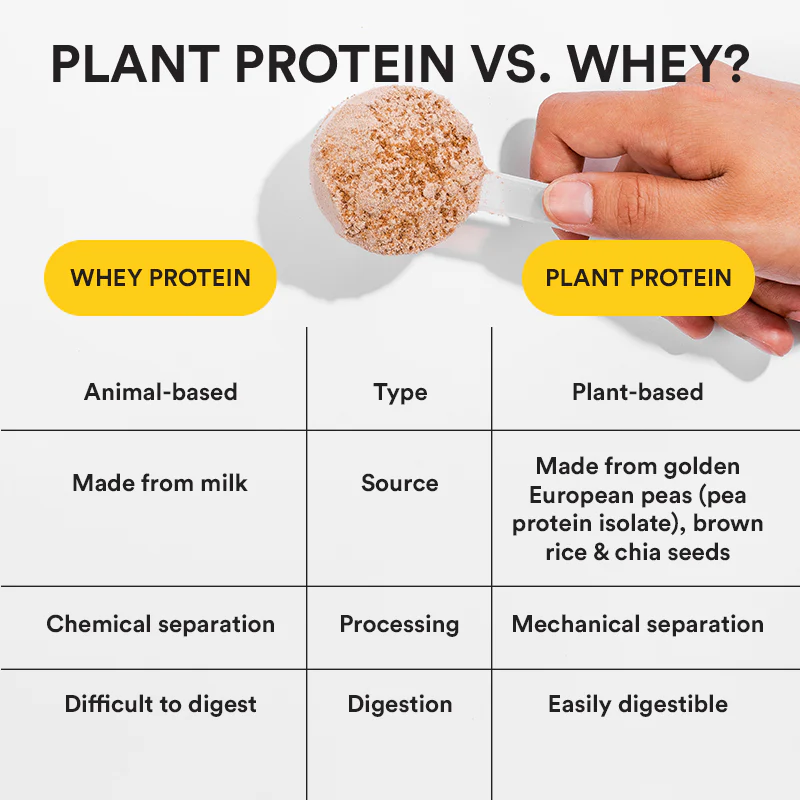 Superfood Plant Protein | British Banoffee Pie - Image 4