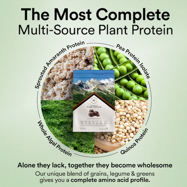 Vegan Protein 22g | 500g | 3B CFU Probiotics | Belgian Dark Chocolate - Image 3