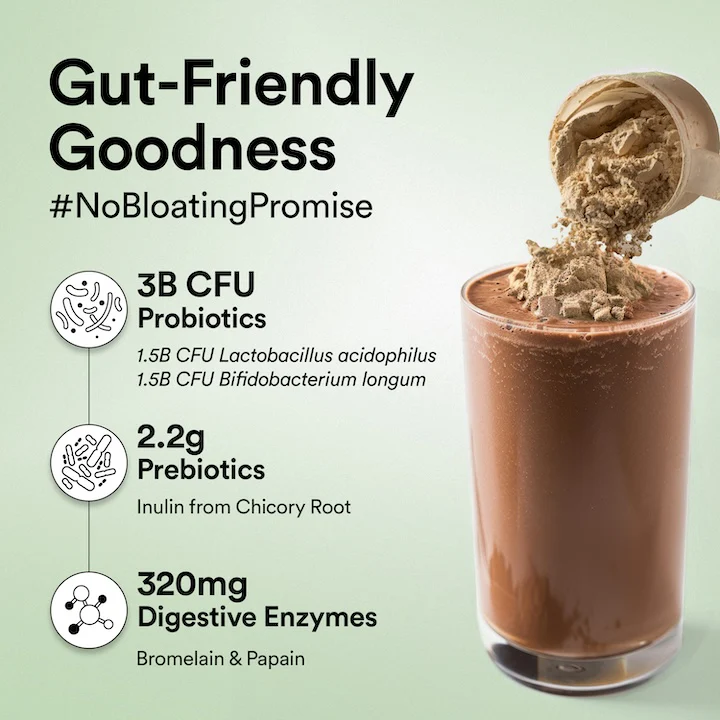 Vegan Protein 22g | 500g | 3B CFU Probiotics | Belgian Dark Chocolate - Image 4