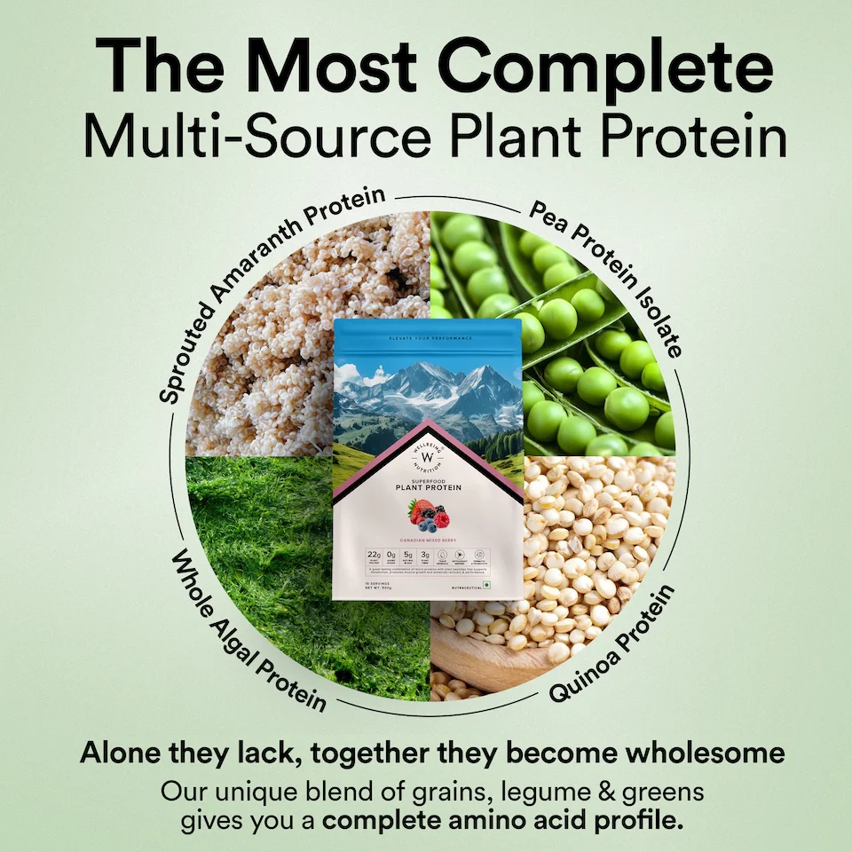Vegan Protein 22g | 500g | 3B CFU Probiotics | Canadian Mixed Berry - Image 3
