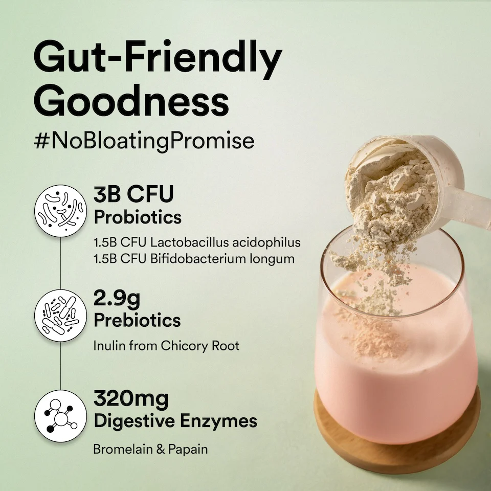 Vegan Protein 22g | 500g | 3B CFU Probiotics | Canadian Mixed Berry - Image 4