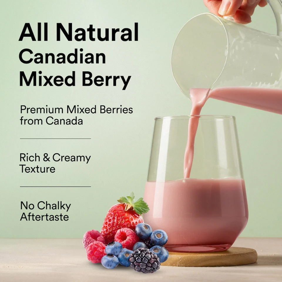Vegan Protein 22g | 500g | 3B CFU Probiotics | Canadian Mixed Berry - Image 6