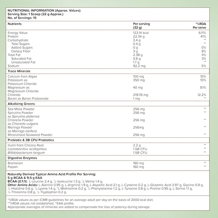 Vegan Protein 22g | 500g | 3B CFU Probiotics | Dark Chocolate Hazelnut - Image 11