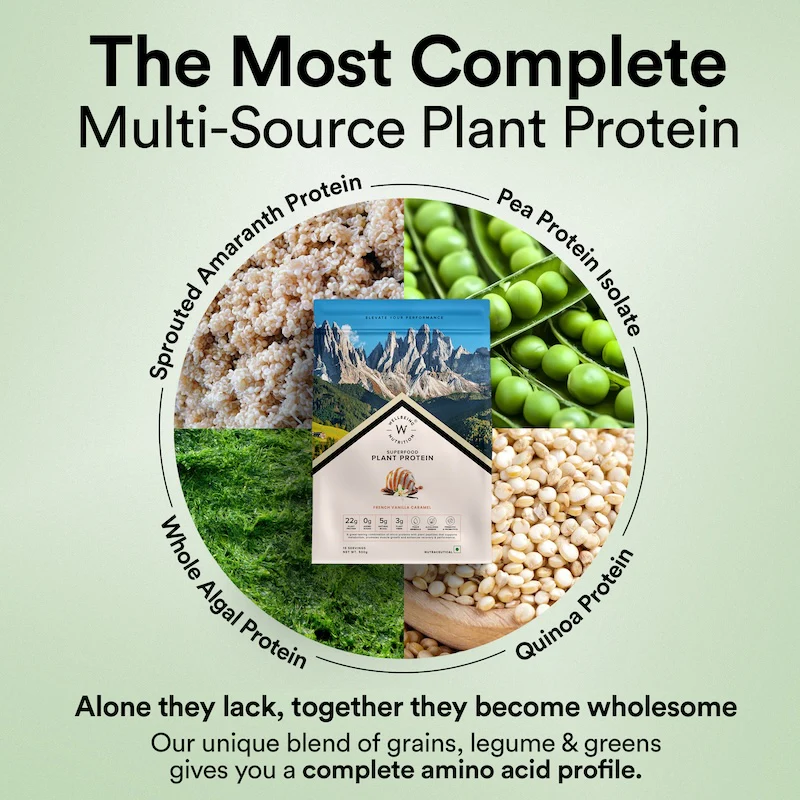 Vegan Protein Flavour Combo - Image 3