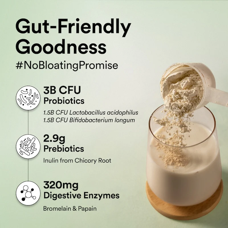 Vegan Protein Flavour Combo - Image 4