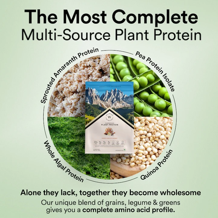 Vegan Protein 22g | 500g | 3B CFU Probiotics | French Vanilla Caramel - Image 3