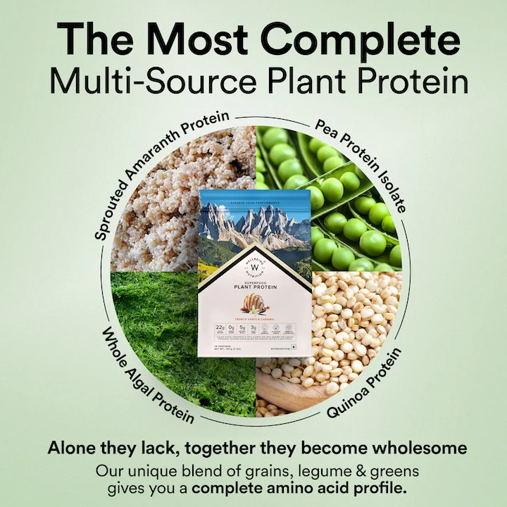 Vegan Protein 22g | 907g | 3B CFU Probiotics | French Vanilla Caramel - Image 3