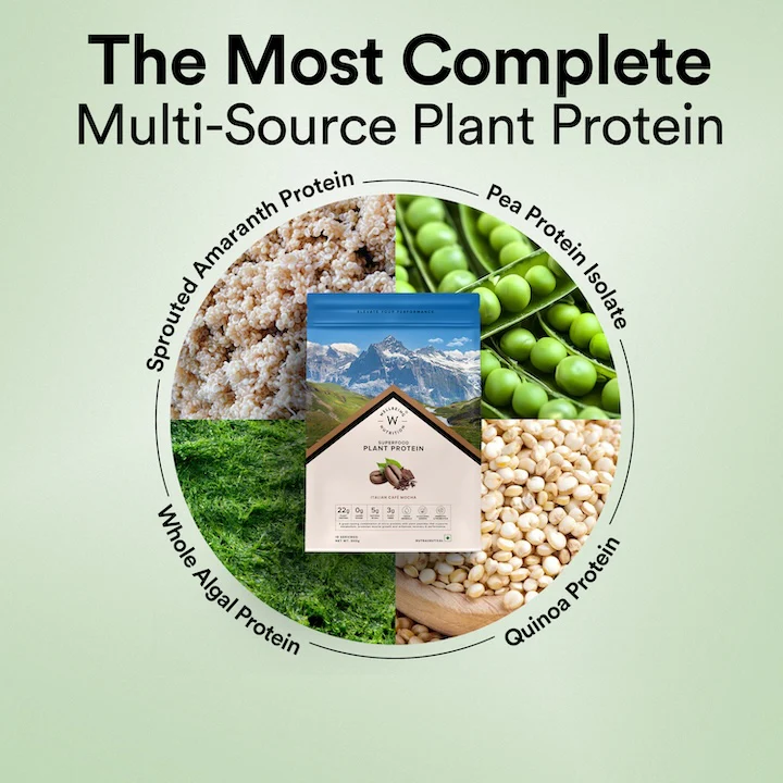 Vegan Protein 22g | 500g | 3B CFU Probiotics | Italian CafÂŽ Mocha - Image 3