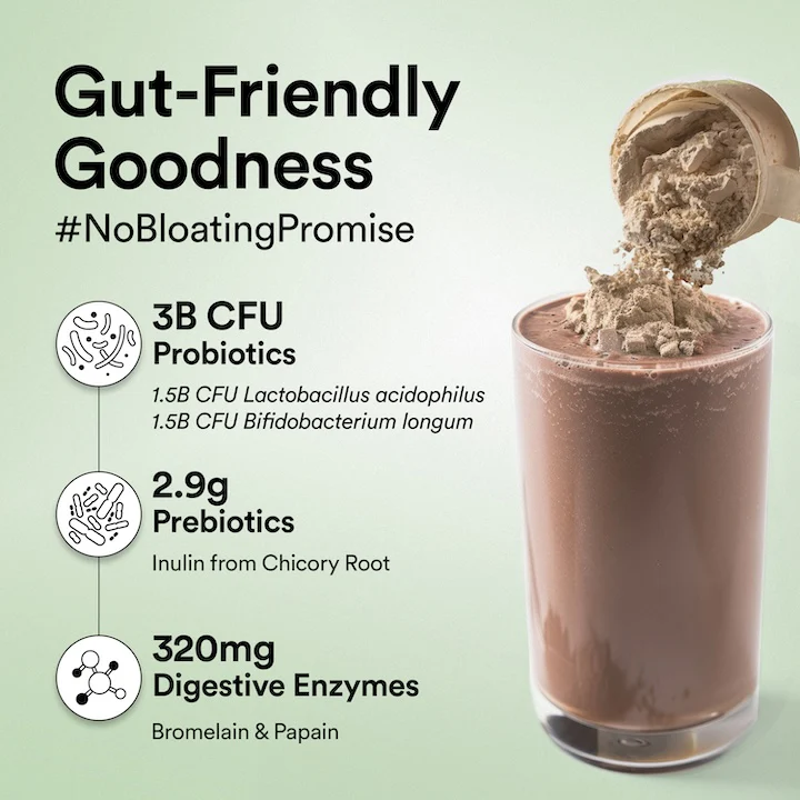Vegan Protein 22g | 500g | 3B CFU Probiotics | Italian CafÂŽ Mocha - Image 4