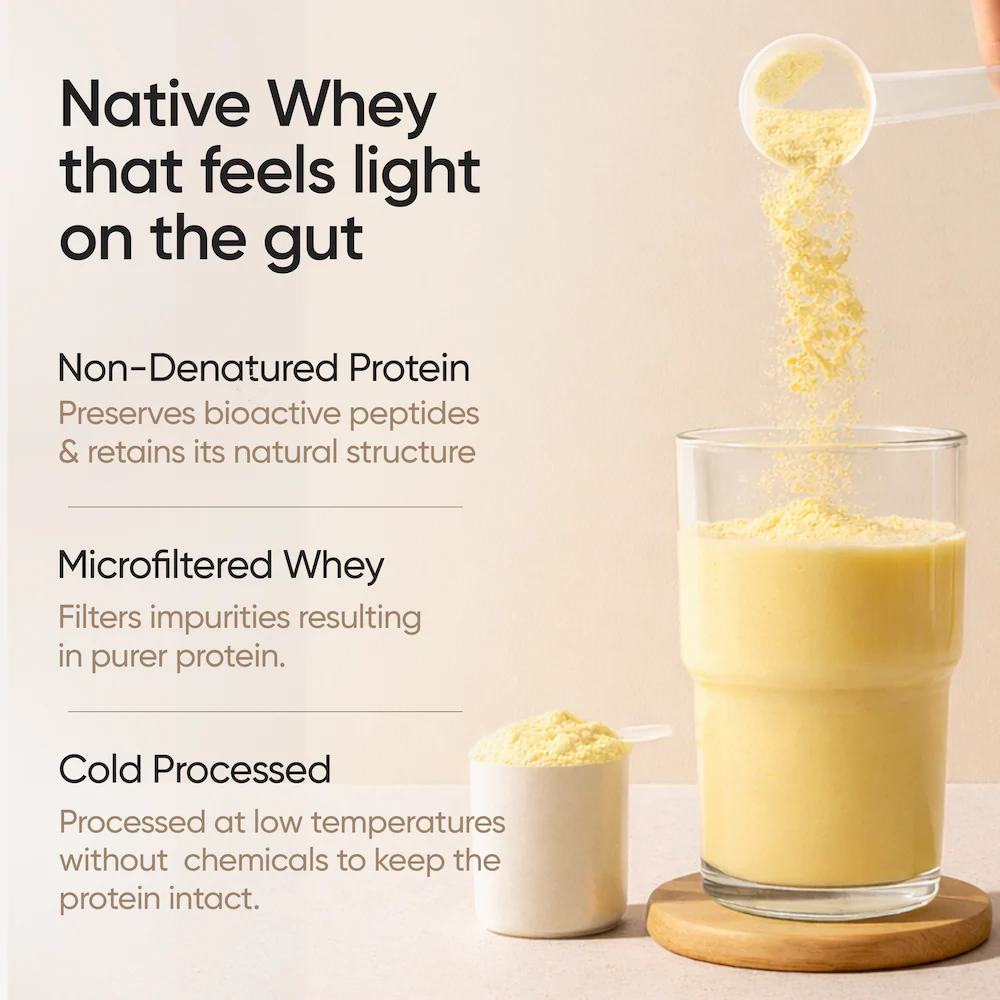 Whey Protein Isolate + Concentrate 24g | 1kg | 4B CFU Probiotics | Mango Flavoured - Image 4