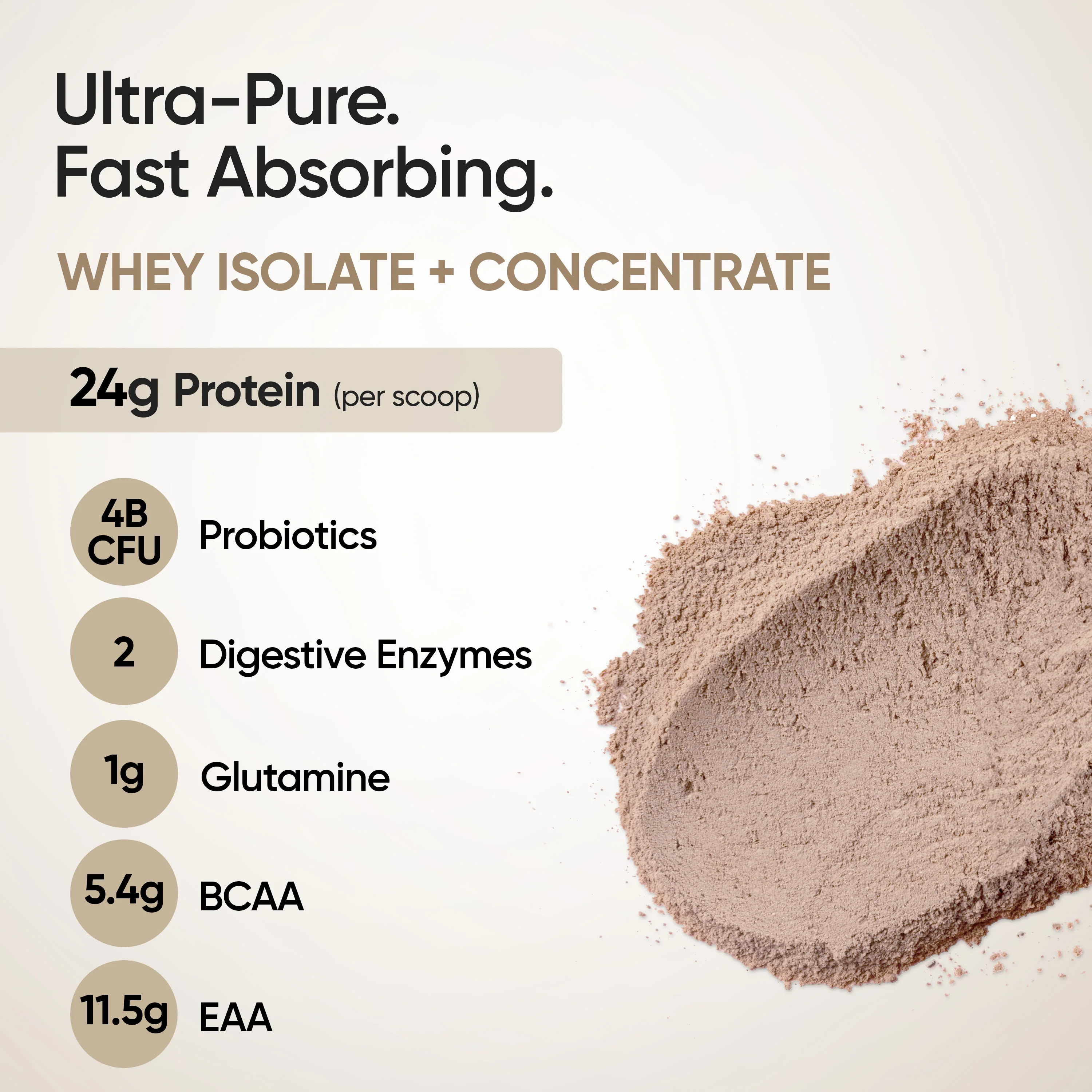 Whey Protein Isolate + Concentrate 24g | 1kg | 4B CFU Probiotics | Swiss Chocolate - Image 2