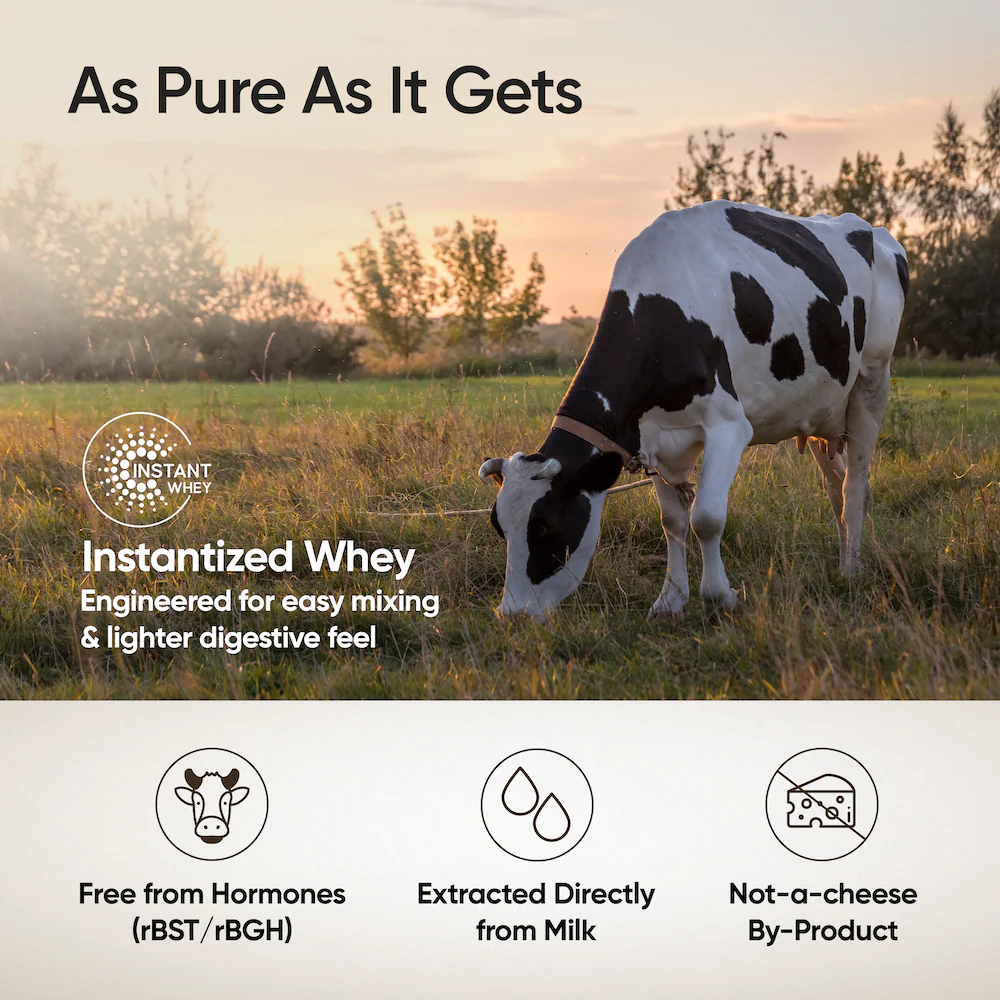 Whey Protein Concentrate 27g | 1kg | 4B CFU Probiotics | Unflavoured - Image 5