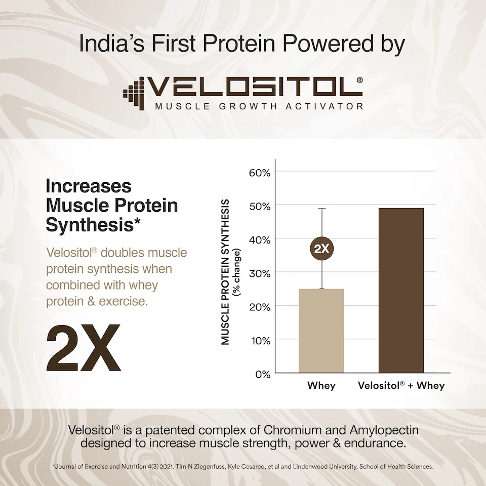 Whey Protein Isolate + Concentrate 24g | 1KG | 4B CFU Probiotics | Swiss Chocolate & Creatine Monohydrate Unflavored - Image 6